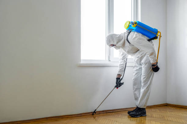 Best Pest Control for Warehouses  in New Waverly, TX